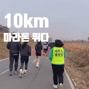  레푸스 율량점 무심천 마라톤을 뛰다