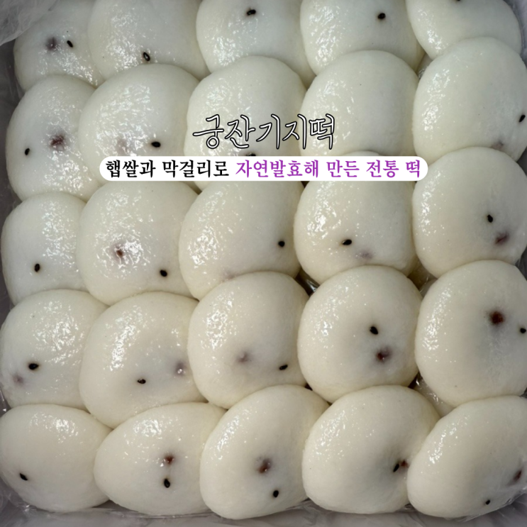  부산떡집 궁잔기지떡 부산시청 : 국내산 햅쌀과 막걸리로 자연발효 시켜만든 전통 떡 [부산 시청]
