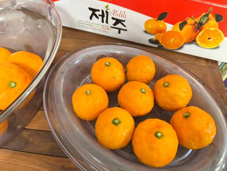  귤덕후 모여라! 꽃귤이라 불리는 푸드마카세의 제주 불로초 감귤 아이와 먹어본  후기