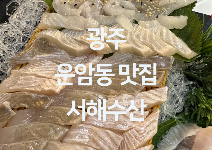  광주 운암동 맛집 - 운암동 회 맛집 가자미 도다리 회 맛집 "서해수산 운암점"