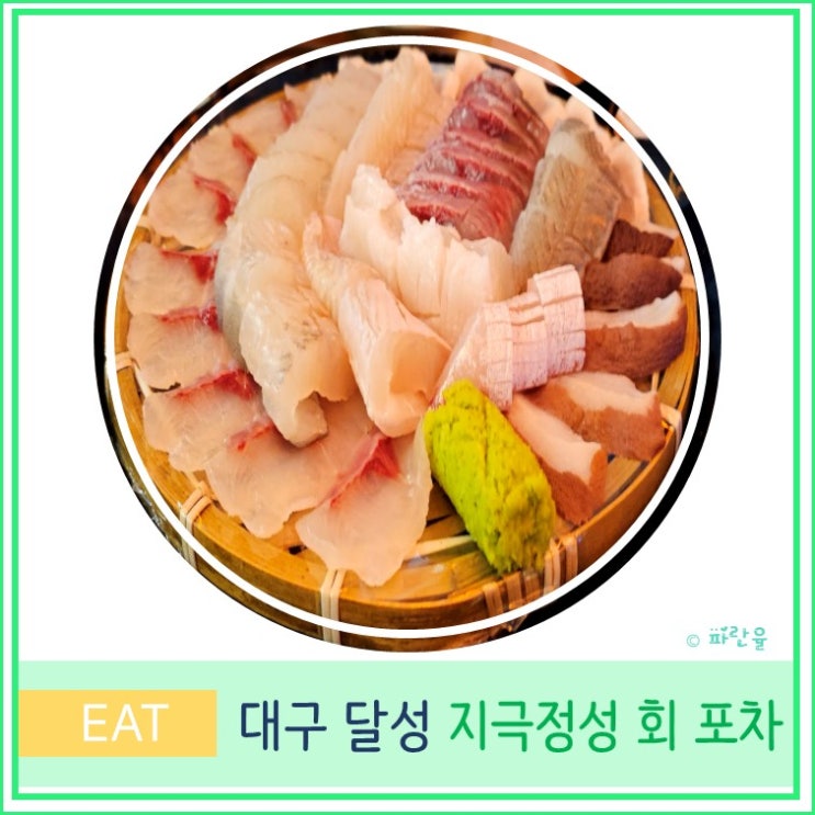  대구 다사 대실 가성비 맛집 지극정성 회 포차