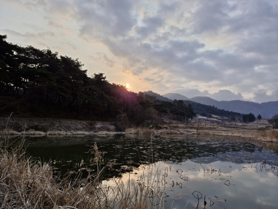 월봉제 사진 5