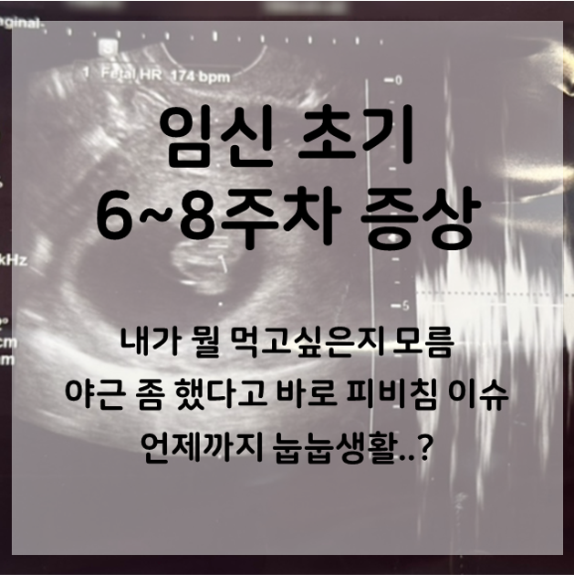  임신초기 6-8주차 증상과 식욕 변화 일지(feat. 피고임이슈)