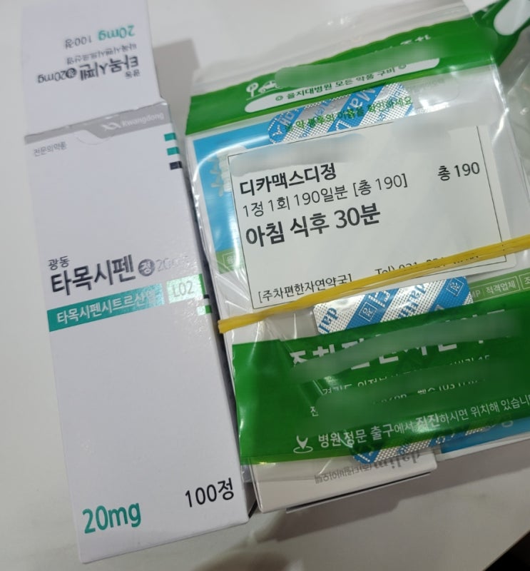 [유방암0기/<b>상피</b>내암] 타목시펜 복용 9개월차, 부작용 극복기