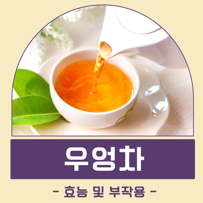 우엉차 효능 부작용 카페인 티백 물대신 만들기