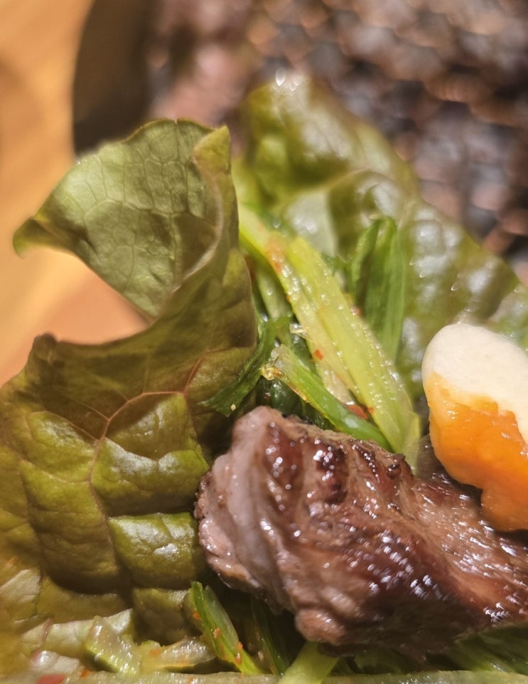  [광주/서구] 상무지구 소갈비 가성비 좋은 숯불 소갈비 노포 맛집 광갈집