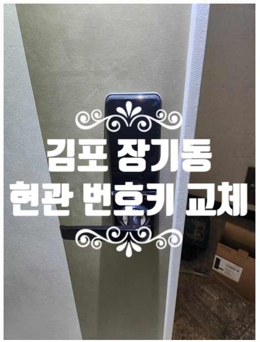  장기동 열쇠 주택 빌라 현관 번호키 고장 김포 도어락 교체 설치!