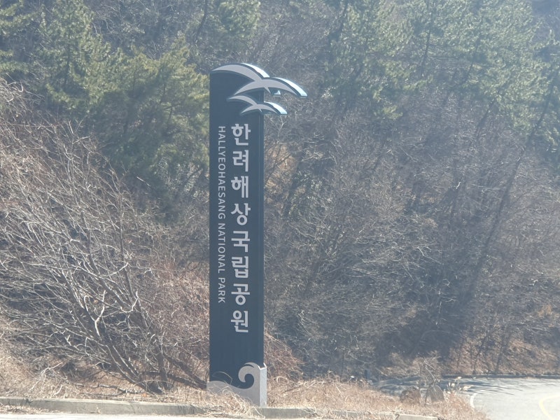사진 4
