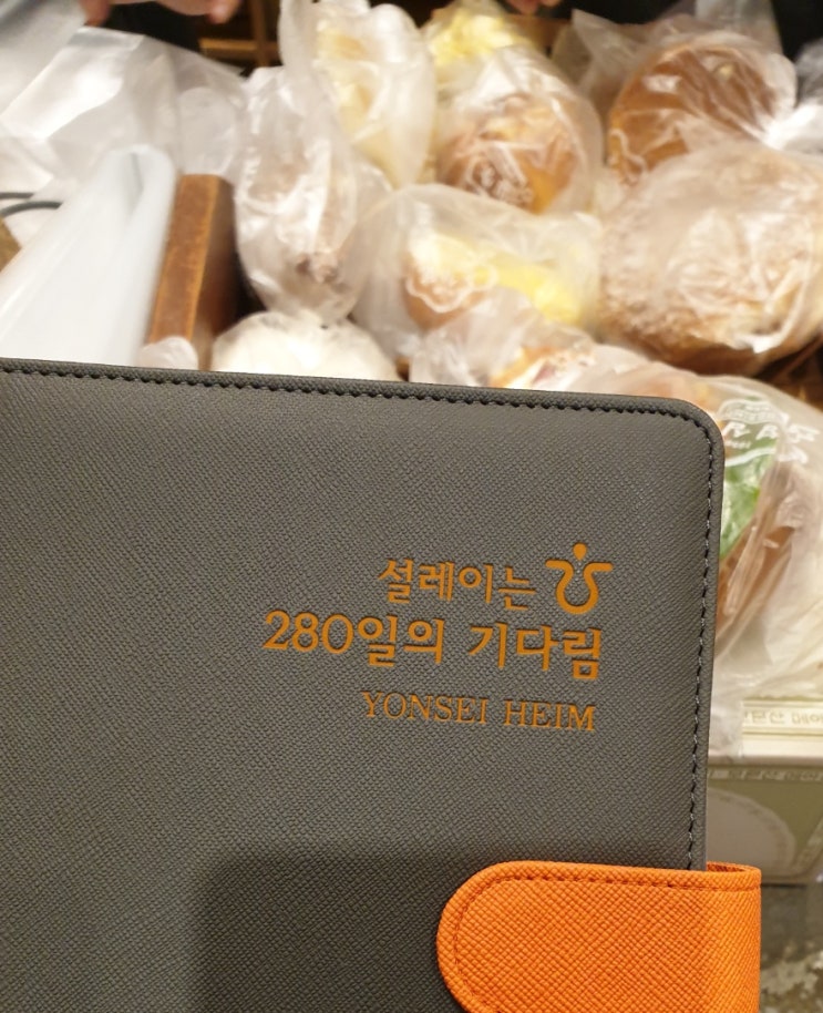  주말 오후 성심당 롯데점 방문하기(ft.임산부 할인)