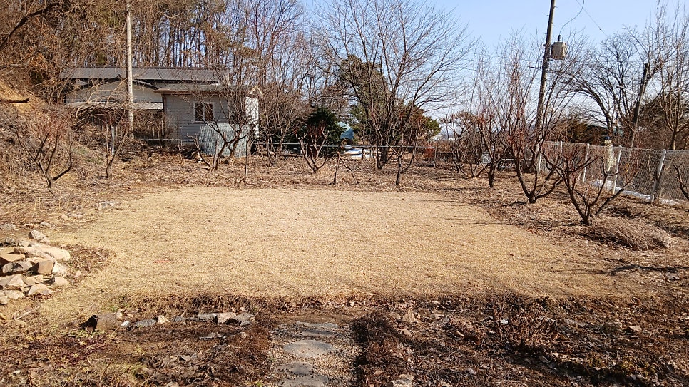 아카이브 파란 사진 4