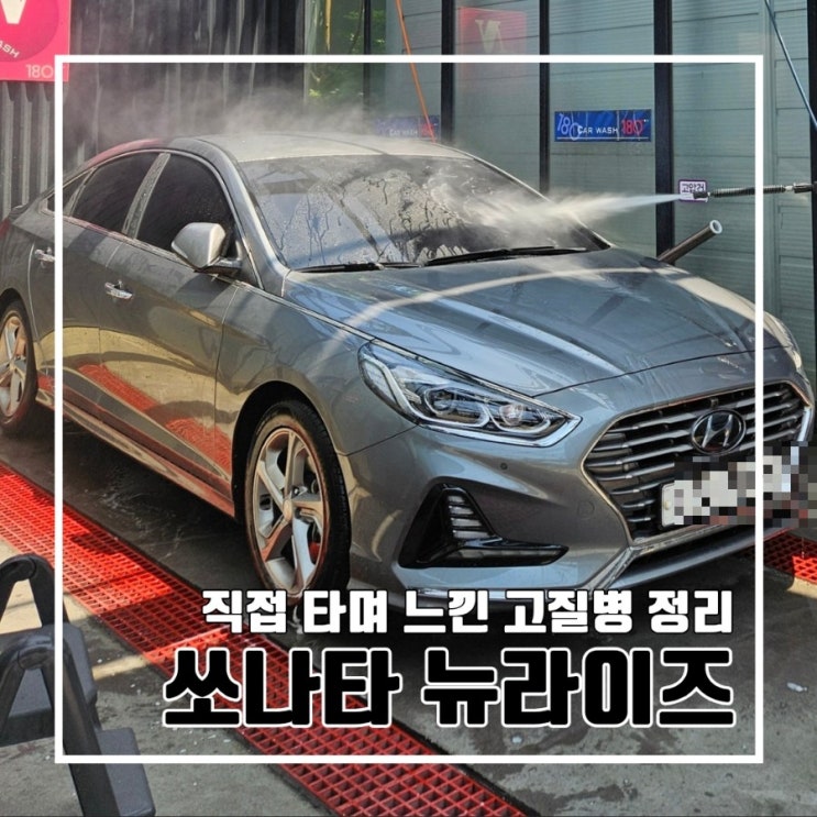  직접 타보며 느낀 LF 쏘나타 뉴라이즈 고질병 정리 l 지극히 개인적인 내용