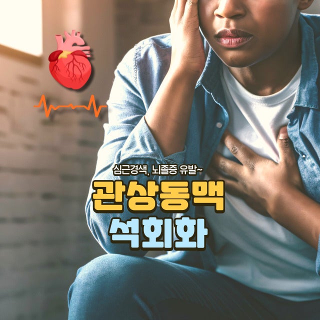 관상동맥 석회화 수치 1점~400점 증상 및 치료방법, 관상동맥에 찌꺼기가 쌓이는 현상