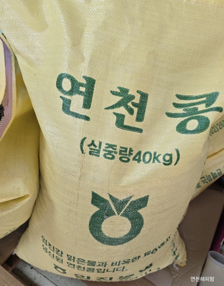  연천콩 민통선 DMZ 농산물 청자5호 검은콩 서리태 백태