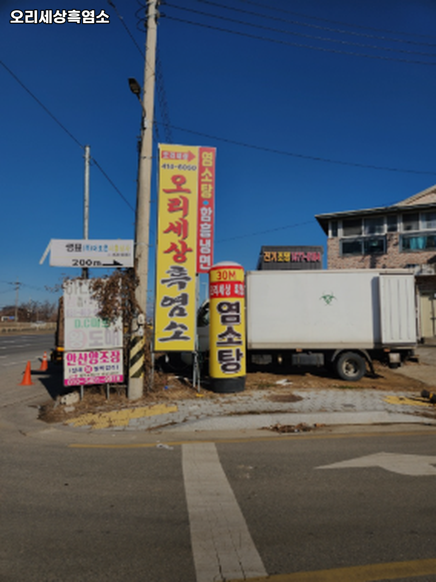 오리세상 사진 4
