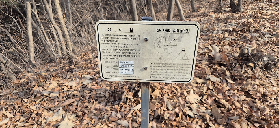 매봉재산 사진 6