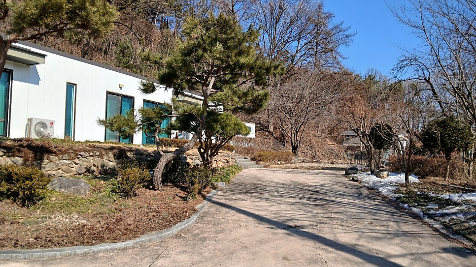 아카이브 파란 사진 1