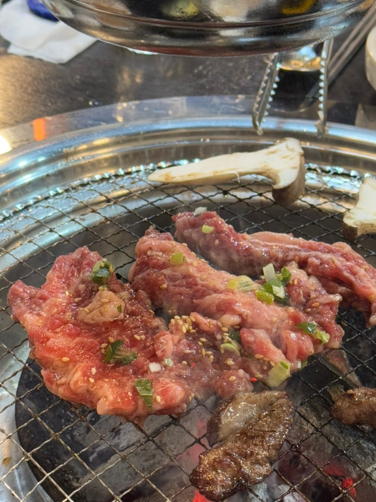  고양 성사동 맛집 숯불향 가득 소갈비 황제숯불소갈비 후기