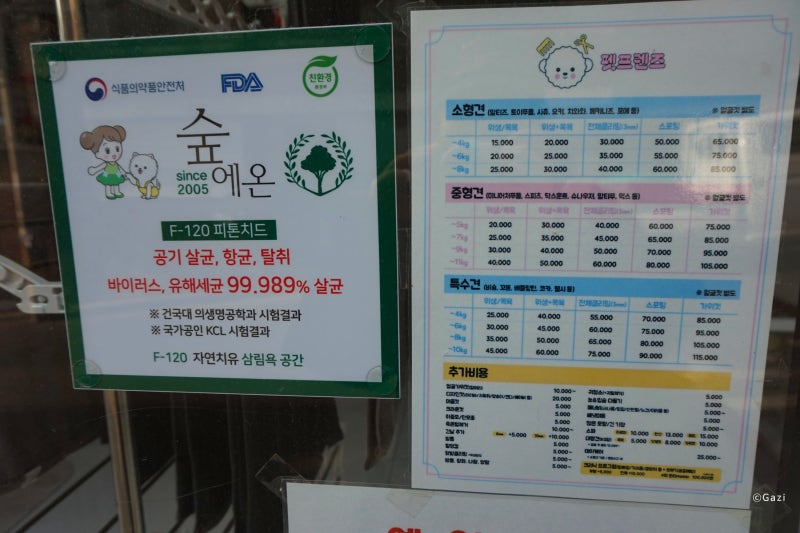 사진 2