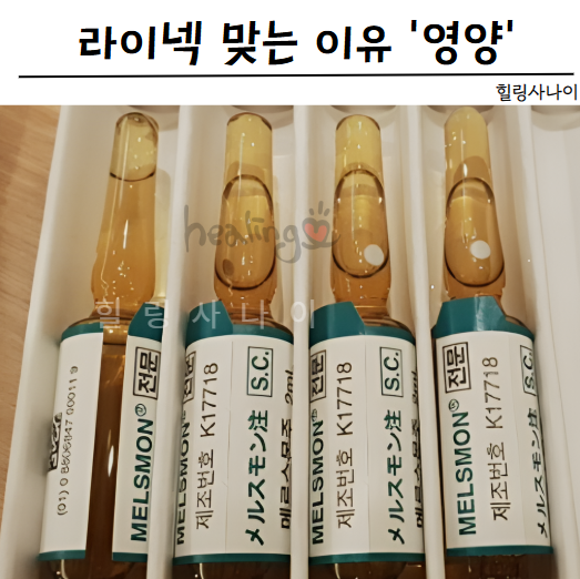 라이넥 태반주사 효능 주기! 멜스몬은?