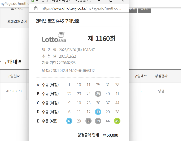 집에서 온라인 동행복권으로 로또 구입하는 방법(ft.4등 당첨!)