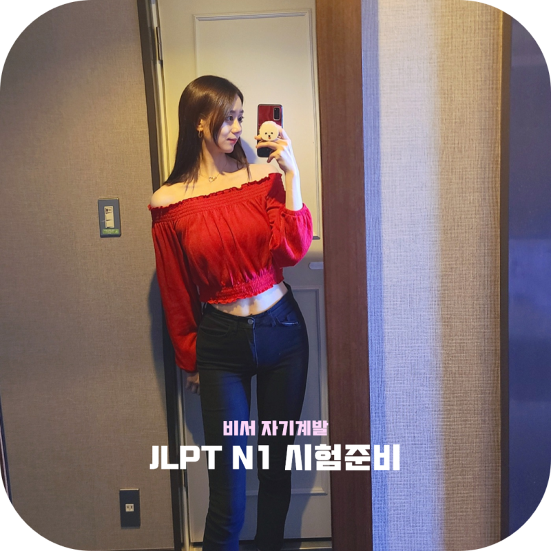 JLPT N1 | 시험 준비 과정 및 후기