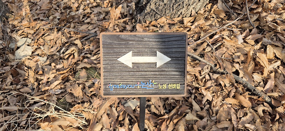 매봉재산 사진 5