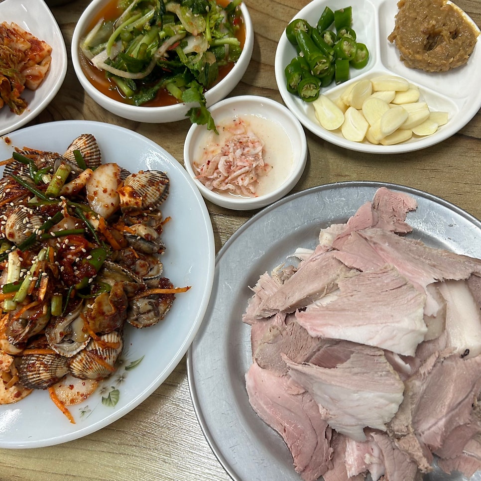 대포쏘는날 사진 4