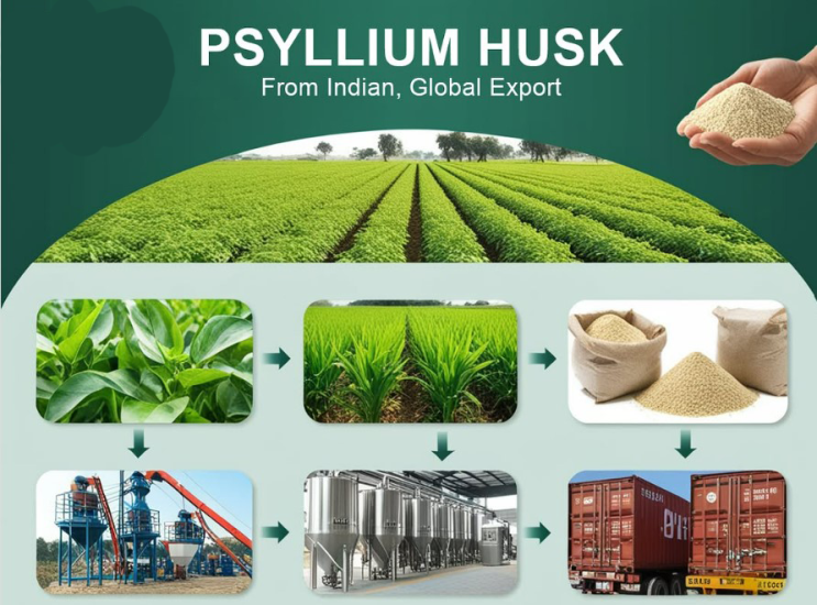 (인디샘 컨설팅) 인도 수출용 차전자피(Psyllium Husk) 사양 (3/6) (인디샘 컨설팅) 인도 수출용 차전자피(Psyllium Husk) 사양 (3/6)