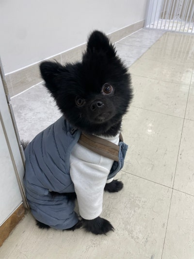 사진 5