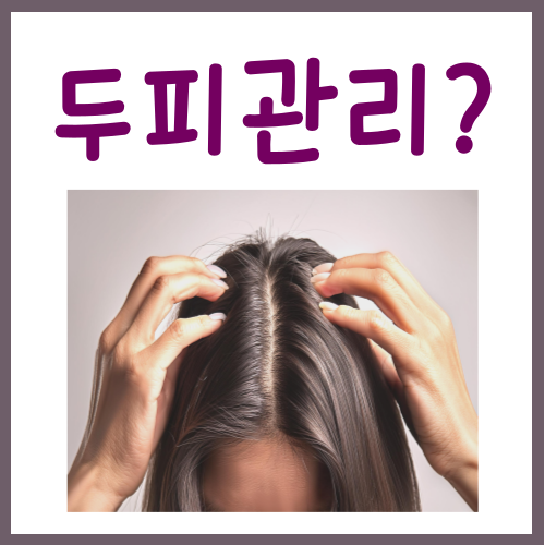 두피관리 방법, 당장 실천 가능한 3가지 루틴?
