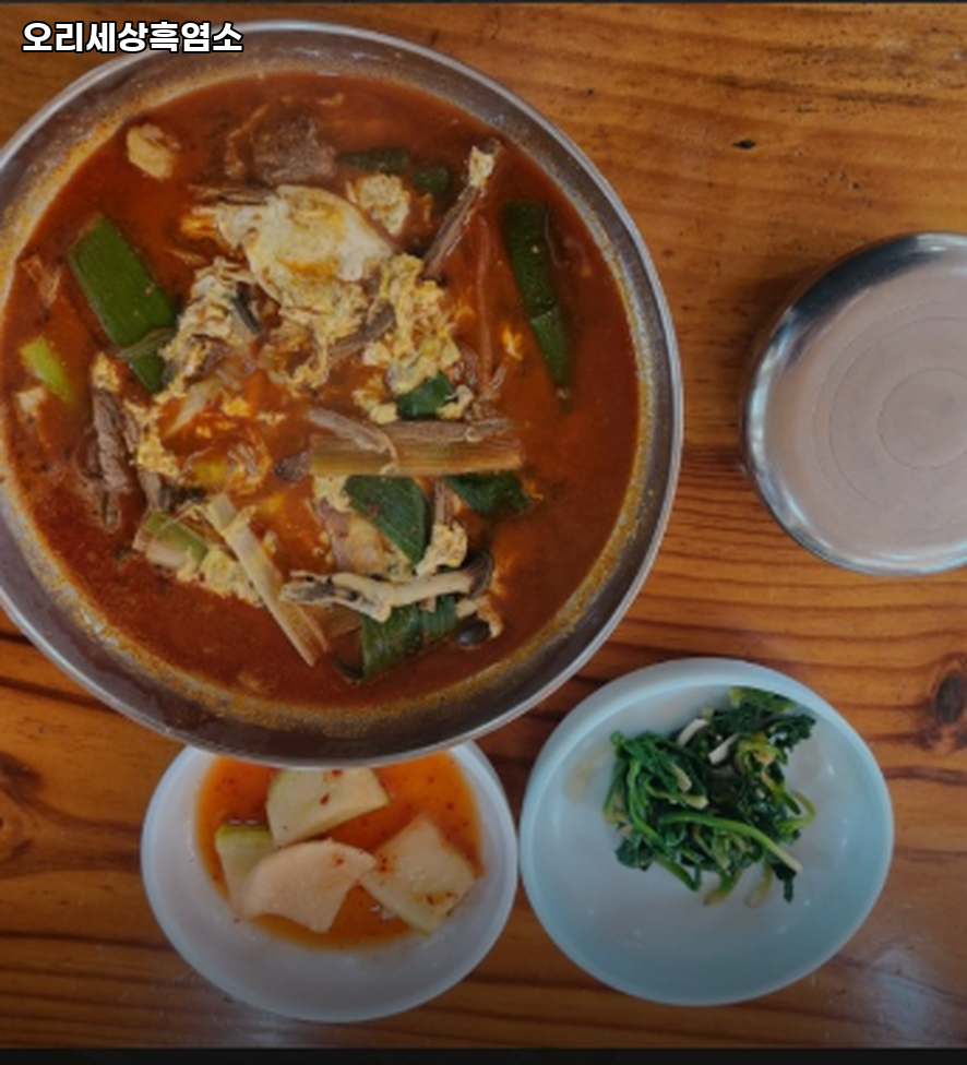 오리세상 사진 2