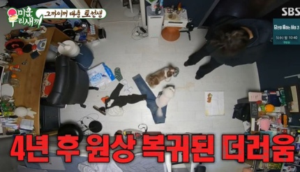 원곡자 <b>토니안</b> <b>미우새</b> 출연 극심한 <b>우울증</b> 엄마가 4명 <b>고백</b>