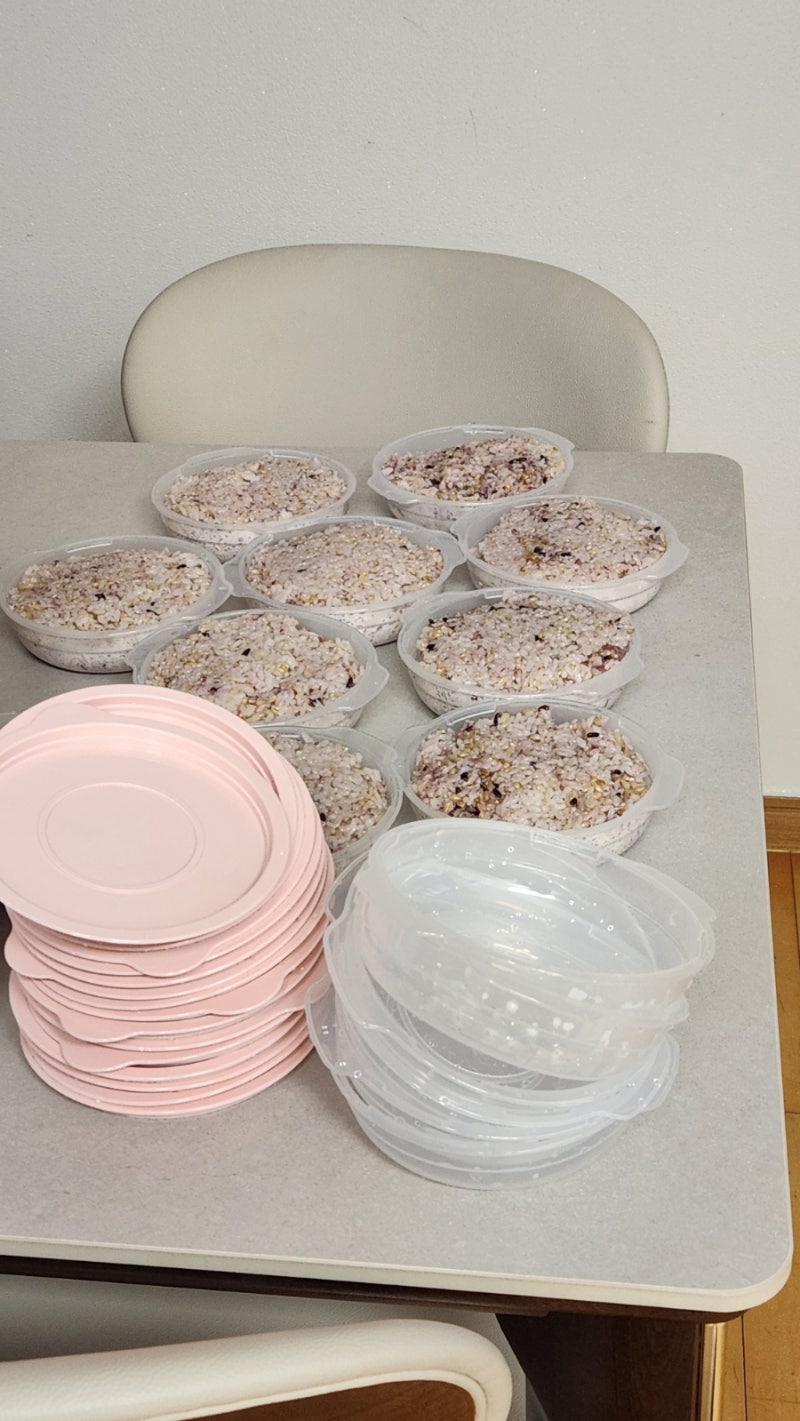 냉동밥 보관, 이제 간편하게! 가쯔 심플쿡 전자레인지 용기 사용 후기