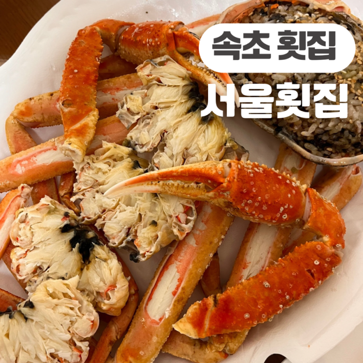  속초중앙시장회센터서울횟집 신선하고 푸짐한 대게 활어회 맛집!