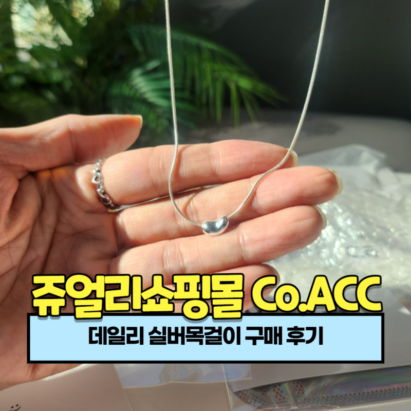 쥬얼리쇼핑몰 Co.ACC 데일리 실버목걸이 구매 후기