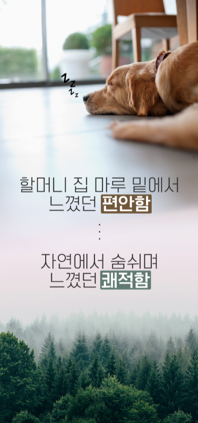  상세페이지업체 성공적인 전환을 유도하려면?