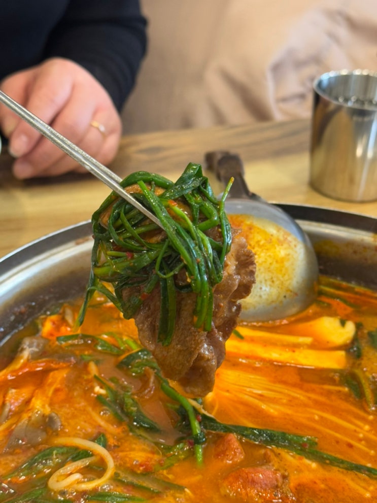  일산 백석역 맛집 매콤한 소고기 샤브샤브 또간집 논산댁