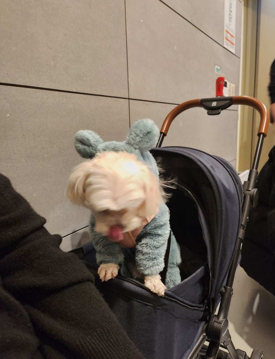 대관령한우 한화리조트점 사진 4