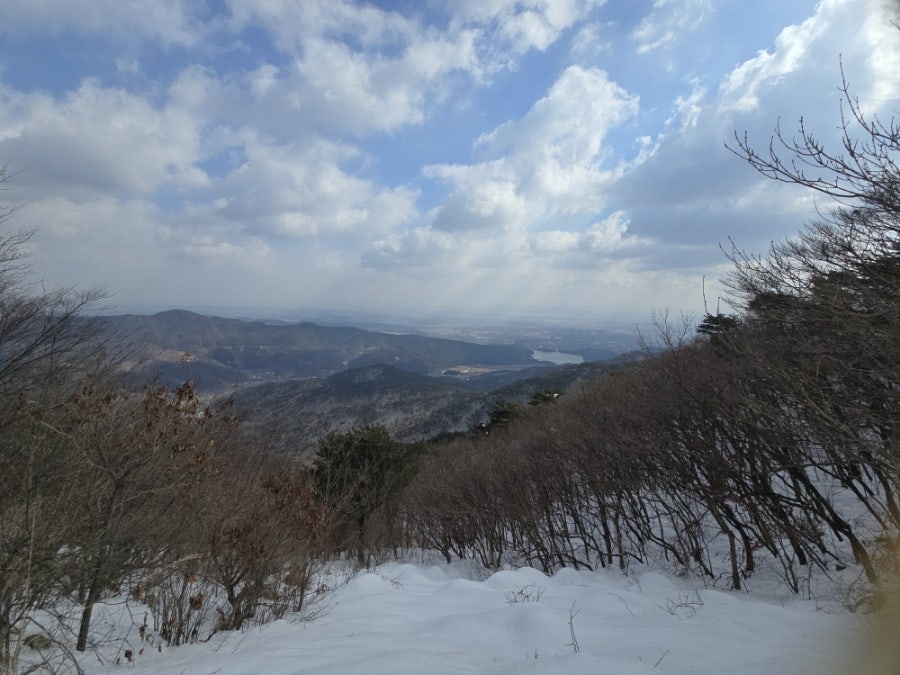 시장반점 사진