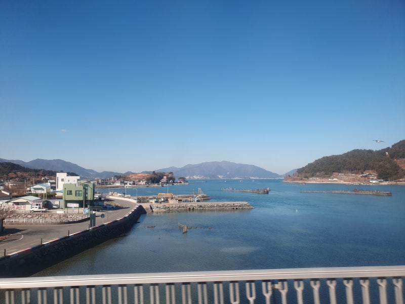 사진 3