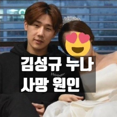  인피니트 김성규, 친누나상 비보! 사망 이유, 공연 불참 속 슬픔