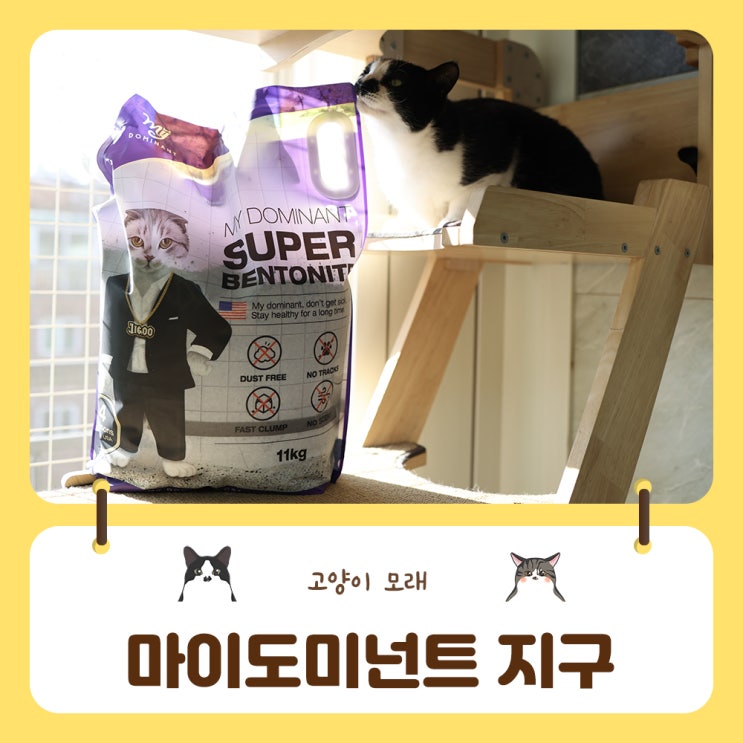 건조한 겨울 촉촉한 마이도미넌트 지구 정전기 없는 고양이모래