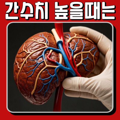 피로하고 무기력하다면? 간 수치 높을 때 신호와 대처법