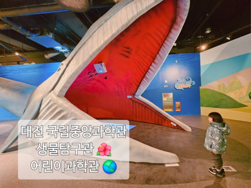 대전 국립중앙과학관 6살 아이랑 1 ❤️ 생물탐구관 어린이과학관
