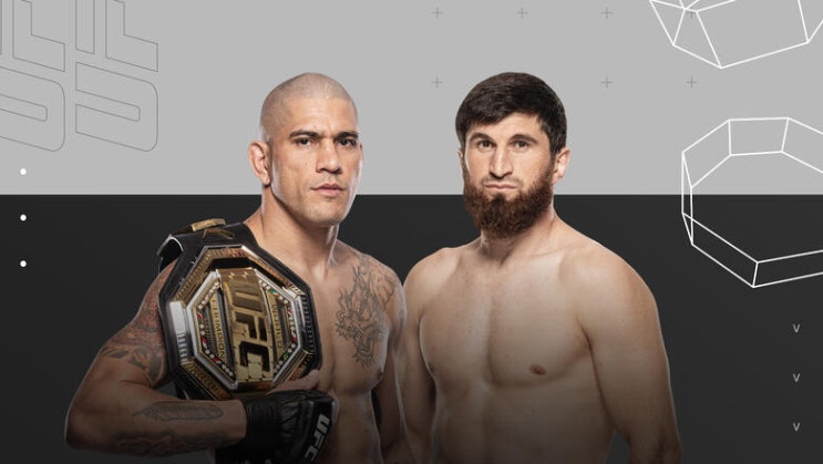  UFC 313, 알렉스 페레이라 vs 마고메드 안칼라예프 경기 예상, 프리뷰