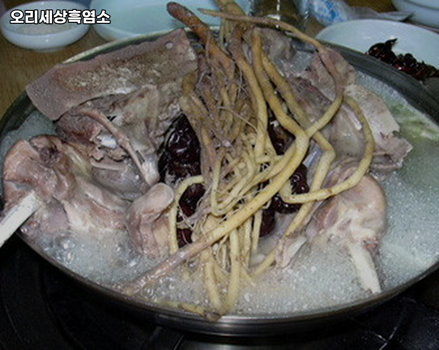 오리세상 사진 3
