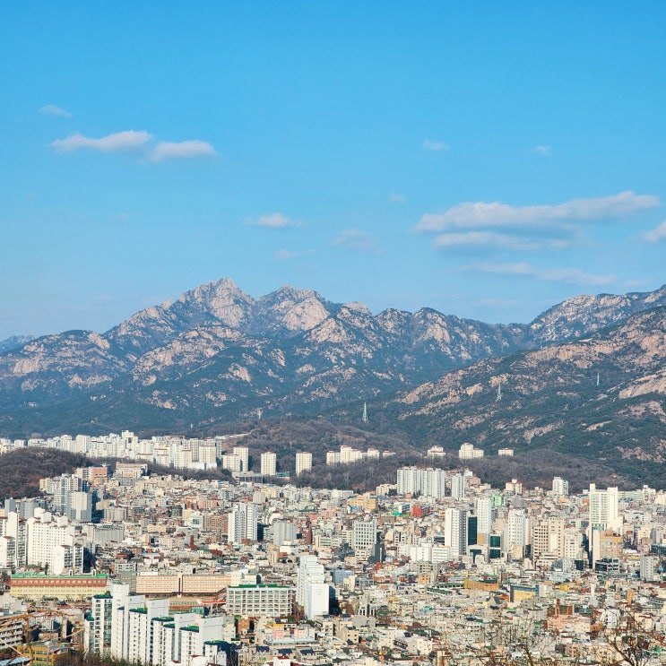  봉산 최단코스 20분만에 오르는 은평구 가볼만한 곳 서울 일출 명소 걷기 좋은 무장애숲길