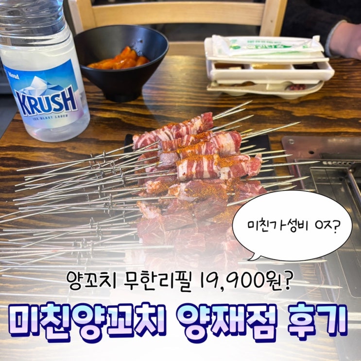 양재맛집 미친양꼬치양재직영점 | 가성비 양꼬치 무한리필 회식장소