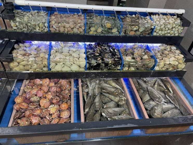  수원 조개구이맛집 :: 수원무한조개