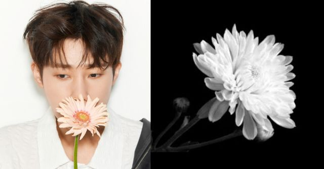 “갑작스러운 비보” 김성규, 친누나 별세 소식 전했다